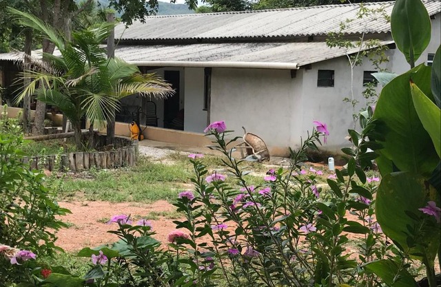 Sitio Frutas do Cerrado
