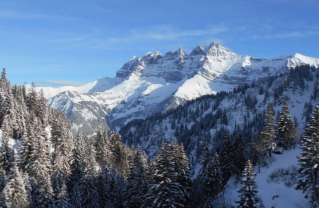 Ski in & out at Portes du Soleil, sunny Sunjacques facing Dents du Midi