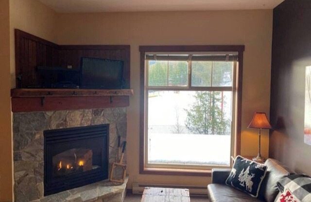 Ski In/Out. Mountain Side. Dog Friendly