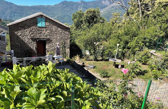 Small house in the mountains in the heart of the chestnut grove in a village