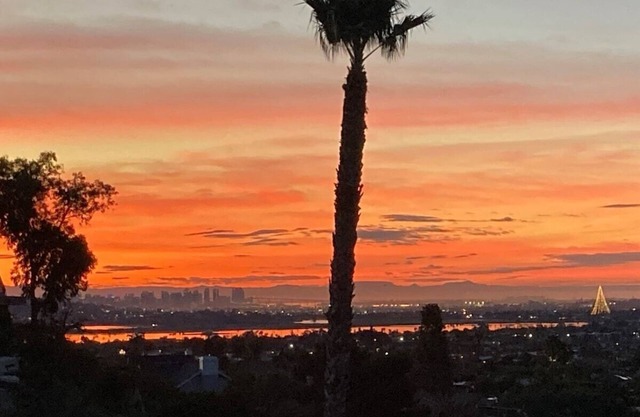 Smashing Recently-Built Ocean/Bay/City Views