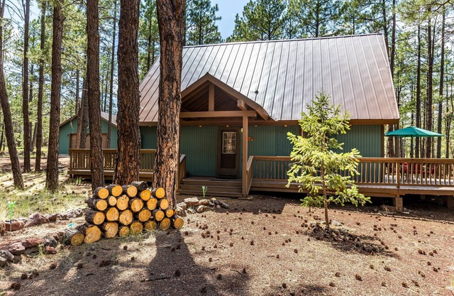 Snow Time Whimsical Forest Retreat for Family, Friends w/AC