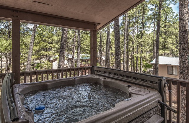 Snowcap Mountain Lodge, 5 Bedrooms, WiFi, Fireplace, Gas Grill, Sleeps 15