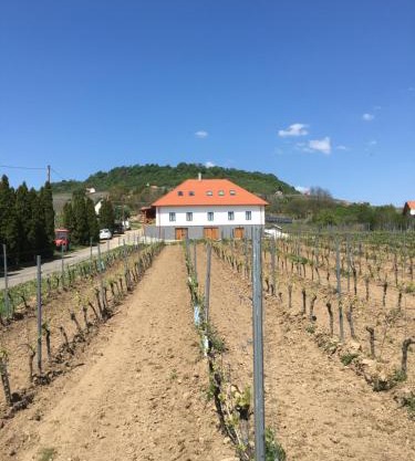 Somló Kolonics Kúria