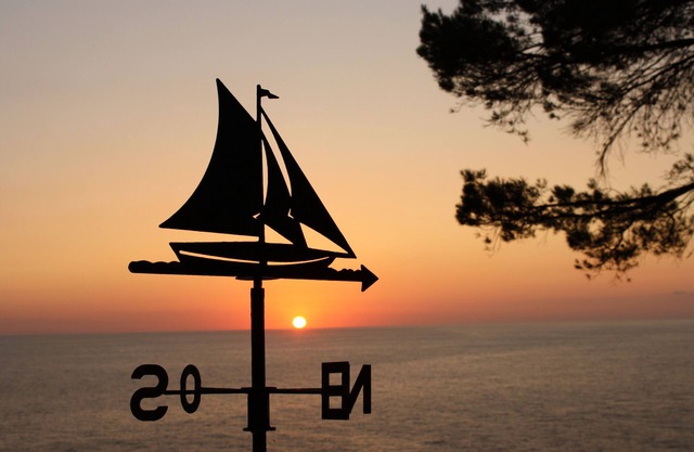 "Son Riera" Petit Paradís