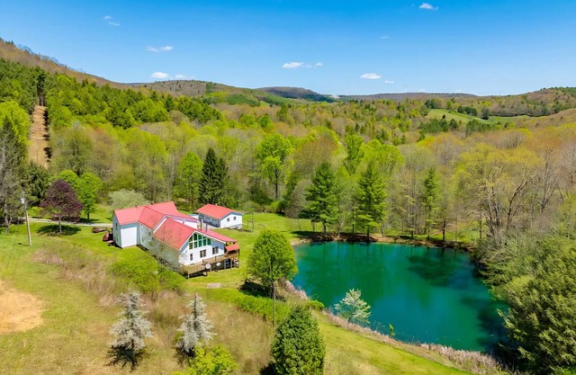 Spacious 5-bedroom house w/fishing pond, WiFi, hot tub in Grayson Co Mountainsn