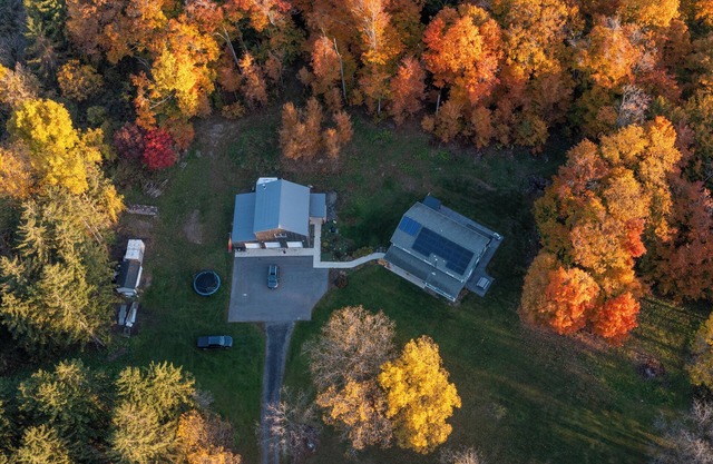 Spacious, modern 4-BR house in serene wooded setting just minutes from downtown