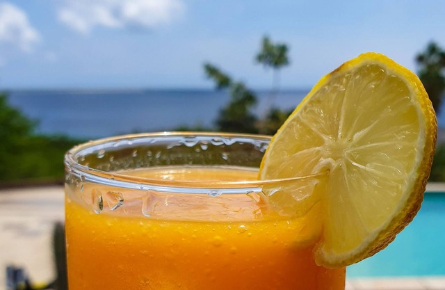 Spectacular Ocean View and Ocean access 3 mins