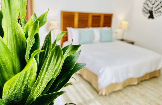 Spoondrift Hostal