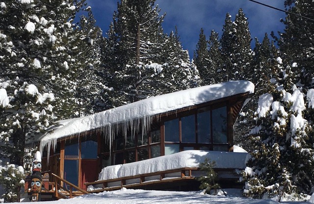 Stay minutes from Palisades Village and a Beautiful bike ride away to Lake Tahoe