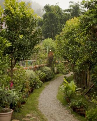 Stay with Nature at Cottages at Village Naukuchiatal Nainital