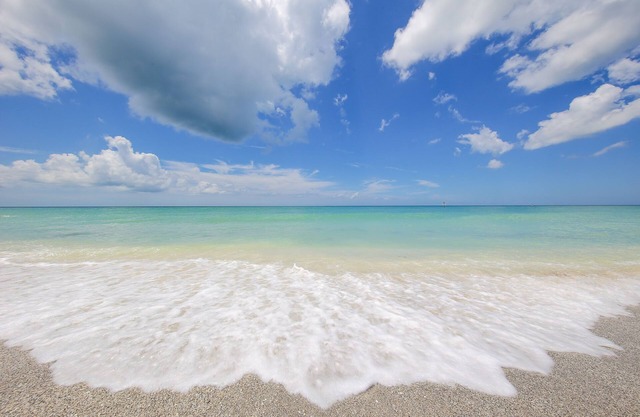 Steps to 2025 #1 rated Beach in USA Spacious2+2Condo,pool,garageTranquil Setting