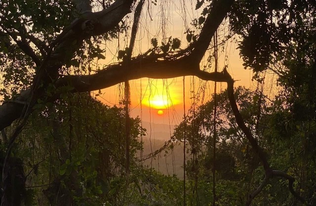 Stingray Cottage , Peaceful Retreat with Pool, Ocean, Mountain, Waterfall Views