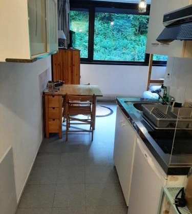 Studio 19 m2 à louer au Mont-Dore