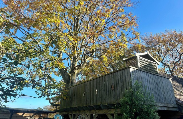 Studio & balcony with tree growing through it, spiral staircase, stunning views.
