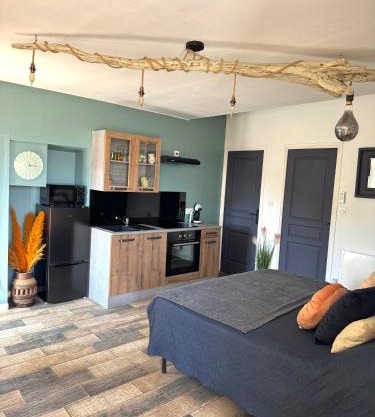 Studio confortable et calme au millieu des vignes