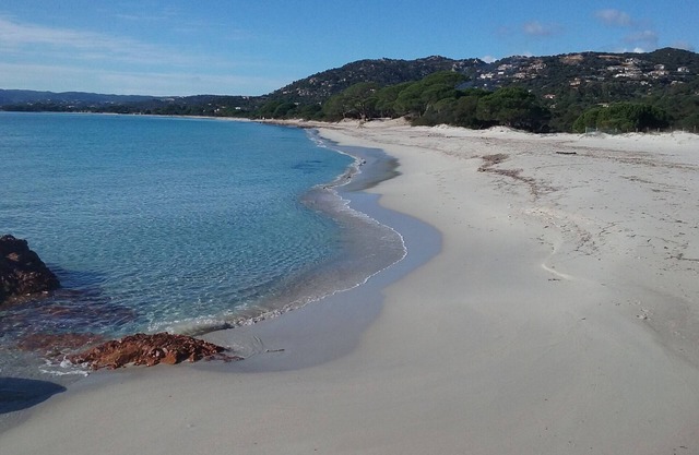 STUDIO IN PALOMBAGGIA FOR 2 PERS UNDER 700 M FROM THE AIR-CONDITIONED BEACH