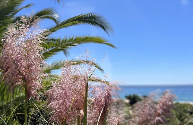 Studio in Romantic Beachvilla