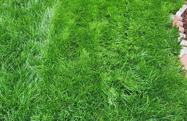 Studio-like with full Kitchenette-monthly stays only