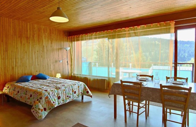 Studio spacieux rénové 35 m², balcon sud, animaux acceptés, Chamrousse 1650 - FR-1-340-132