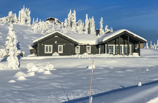 Stunning home in Eggedal with WiFi