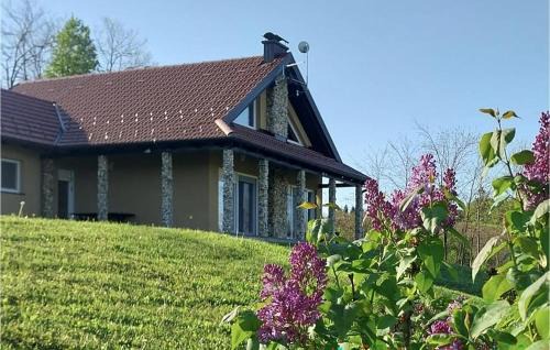 Stunning Home In Strigova With Wifi