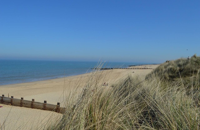 Stunning Seaside Cottage in Horsey. Walk to Beach, Seals & Norfolk Broads