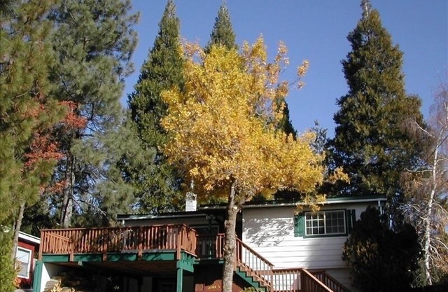 Stunning views of Shasta