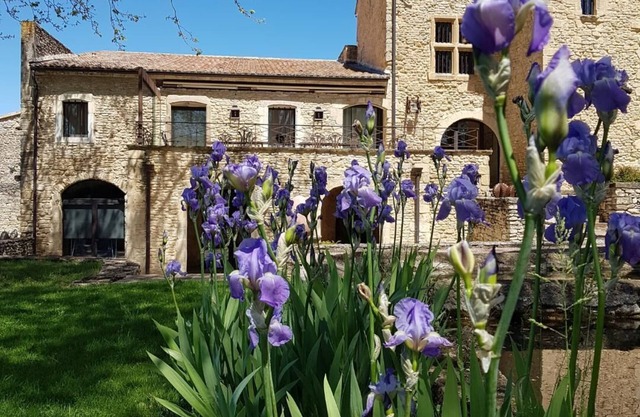 Sublime property in the middle of its vineyard with swimming pool and tennis court