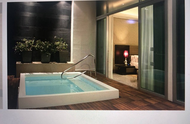 Suite 1 bedroom 1 bathroom sleeps 4 w/pullout couch Best Golfing courses