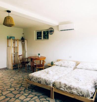 Suite Tangerine Studio