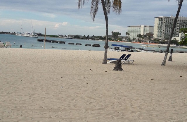 Sunny View At Sandcastle