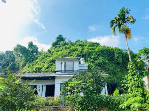Sunshine Home - Nhà của Nắng