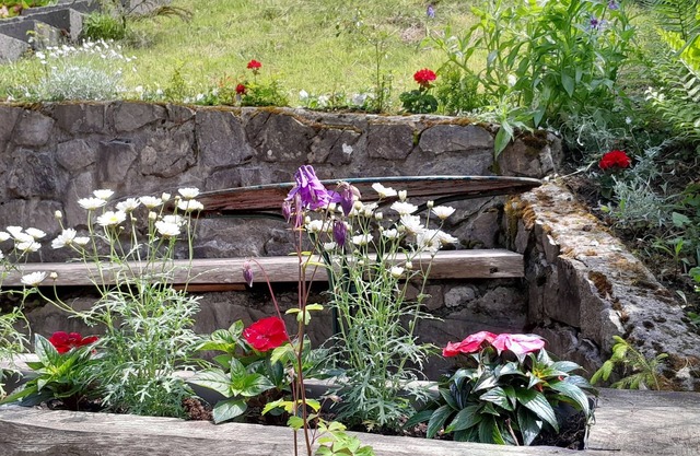 Superb mountain chalet overlooking lake leman