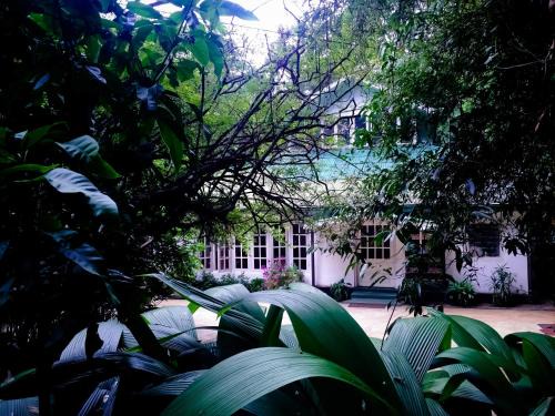 Surrey Bird Sanctuary & Holiday Resort