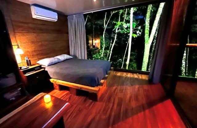 Sweet Jungle