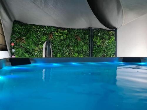 T3 avec jacuzzi privé exterieur
