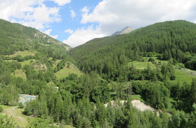 T3 in the heart of nature