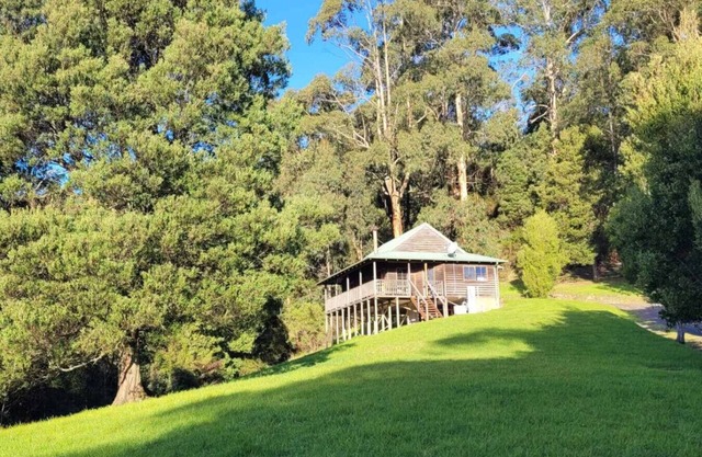 Tall Trees Eco Retreat - Manna Gum Cottage