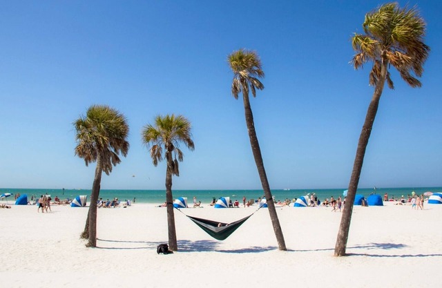 Tampa Bay Airport-Stadium Double Bed Suite.