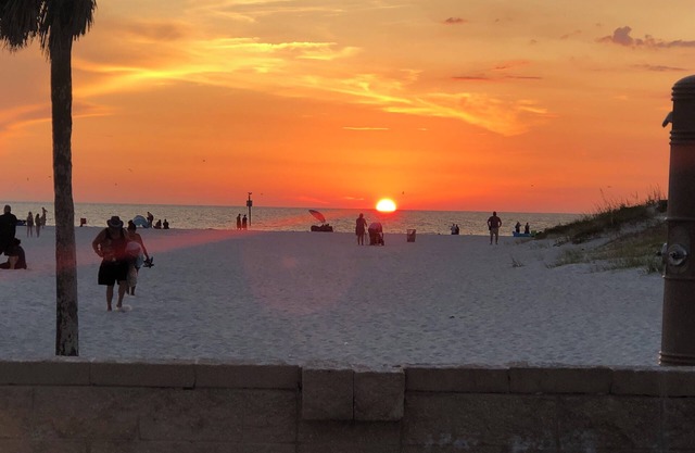 Tampa Heights Bungalow