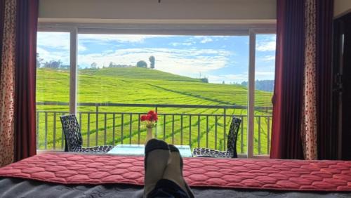 Tea Garden stays