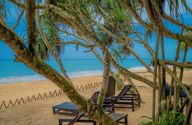 Temple Tree Resort & Spa