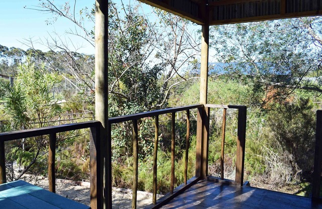 Tenikwa Nature Lodge and Family Suites
