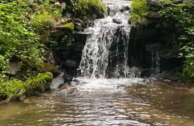 Tentrr Signature Site - Lake Hills Farm - Stream Side Camping