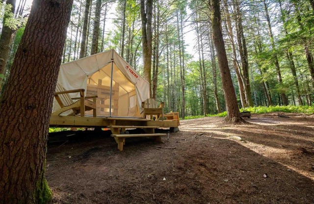 Tentrr Signature Site-Say Hello 2 Heaven at Tentrr Catskill Retreat-Single Camp