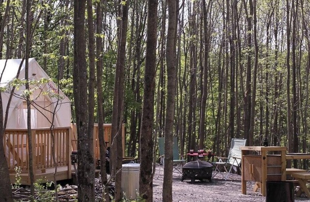 Tentrr Signature Site - "Simplistic"