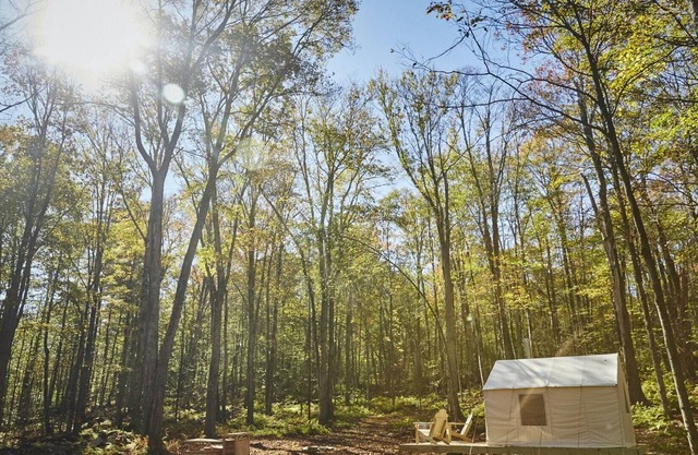 Tentrr Signature Site - Swinging Bridge Sanctuary