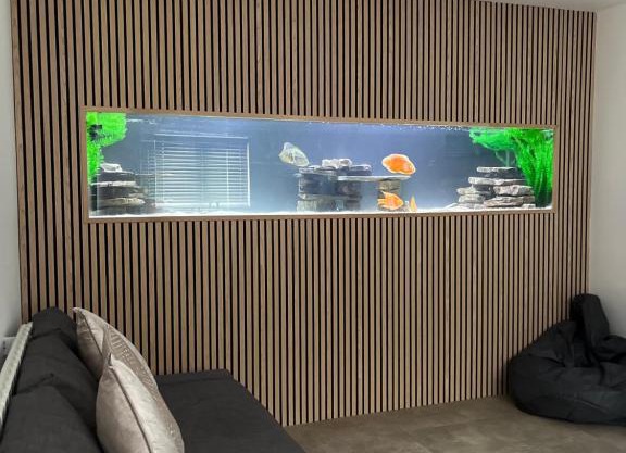 Terfyn Hall aquarium apartment 1