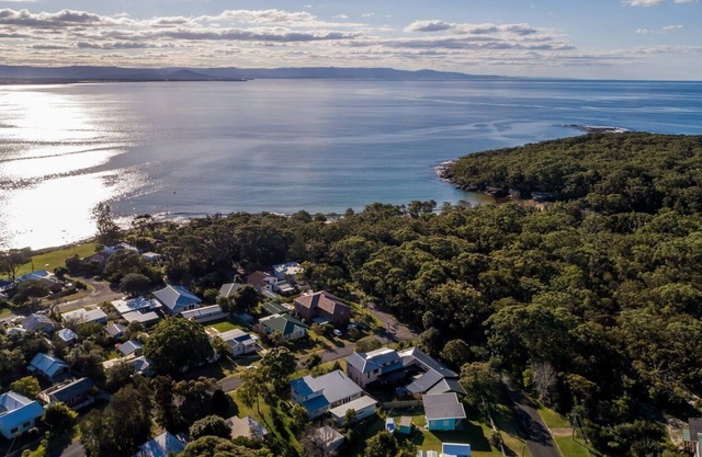 The Agave Summary: We